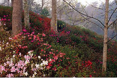 GOG喜加一：《横冲直撞》免费领取